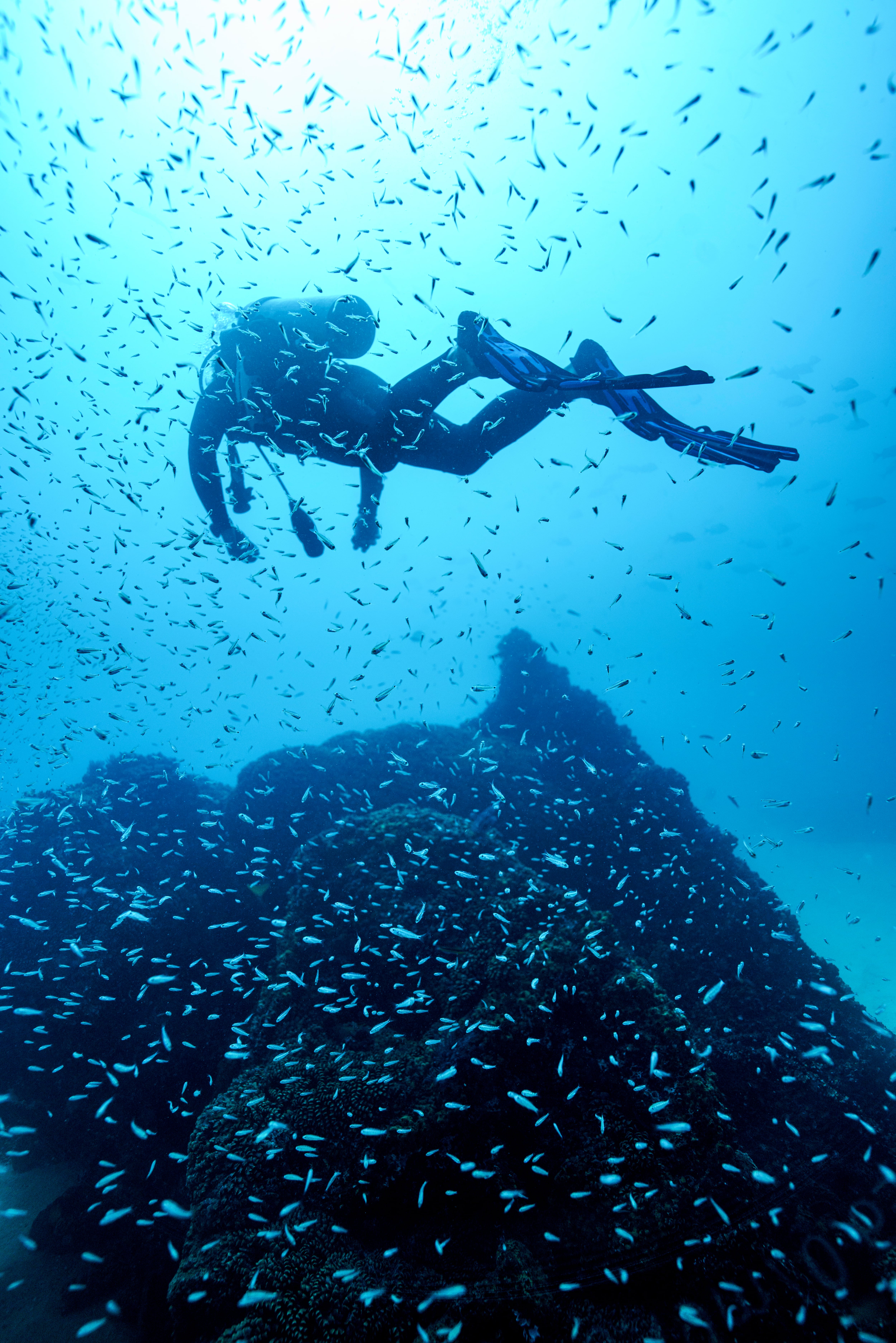 Cabo Pulmo tiene el arrecife de coral más grande del Golfo de California y es posible bucear ahí