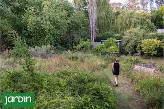 Qué es un jardín salvaje, por qué es tendencia y cómo se construye