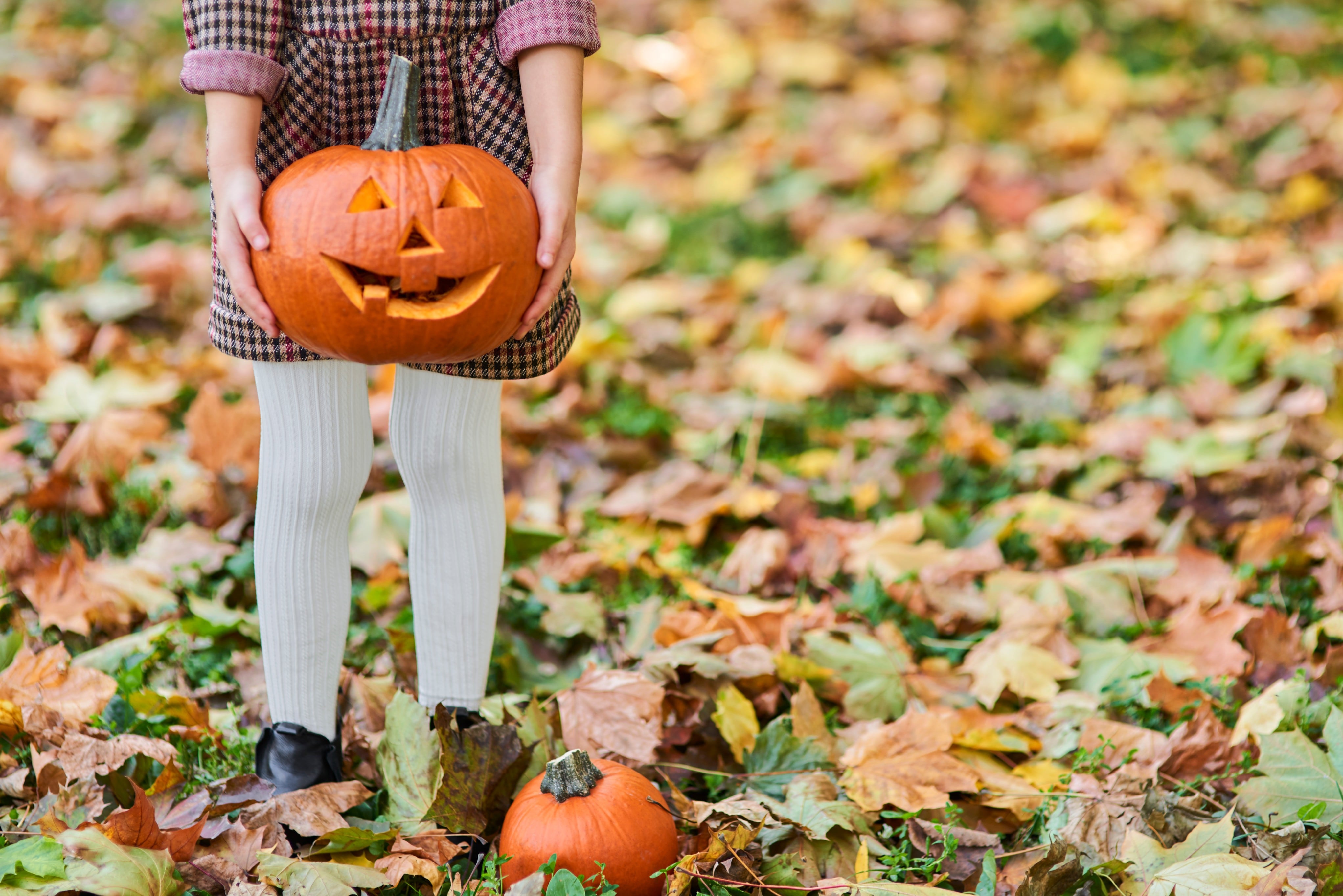 De dónde viene Halloween