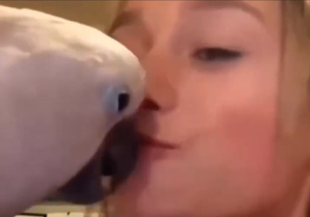 El tierno beso que le dio la nena a su mascota (Foto: Captura Instagram @elchamainforma)