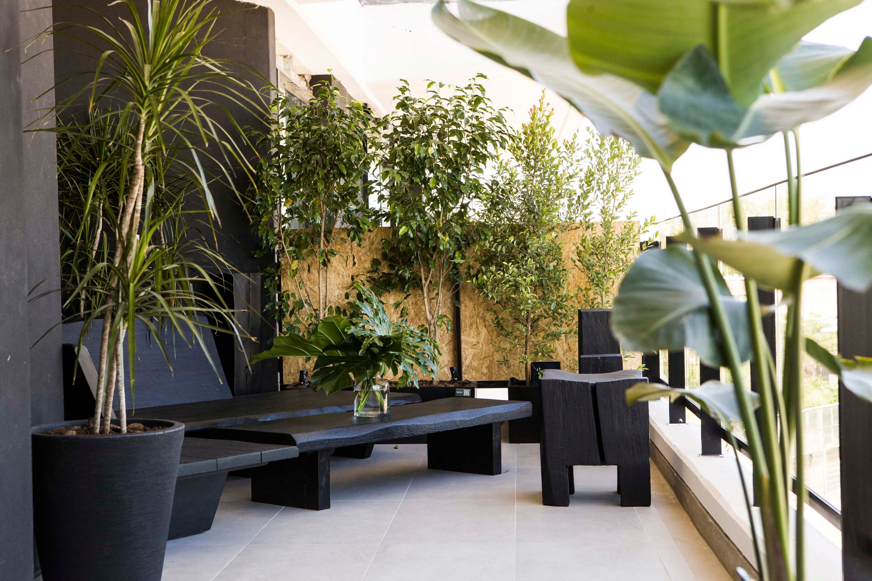 Muebles (@casabravaoficial). Macetas y plantas (@faitfulviveros).