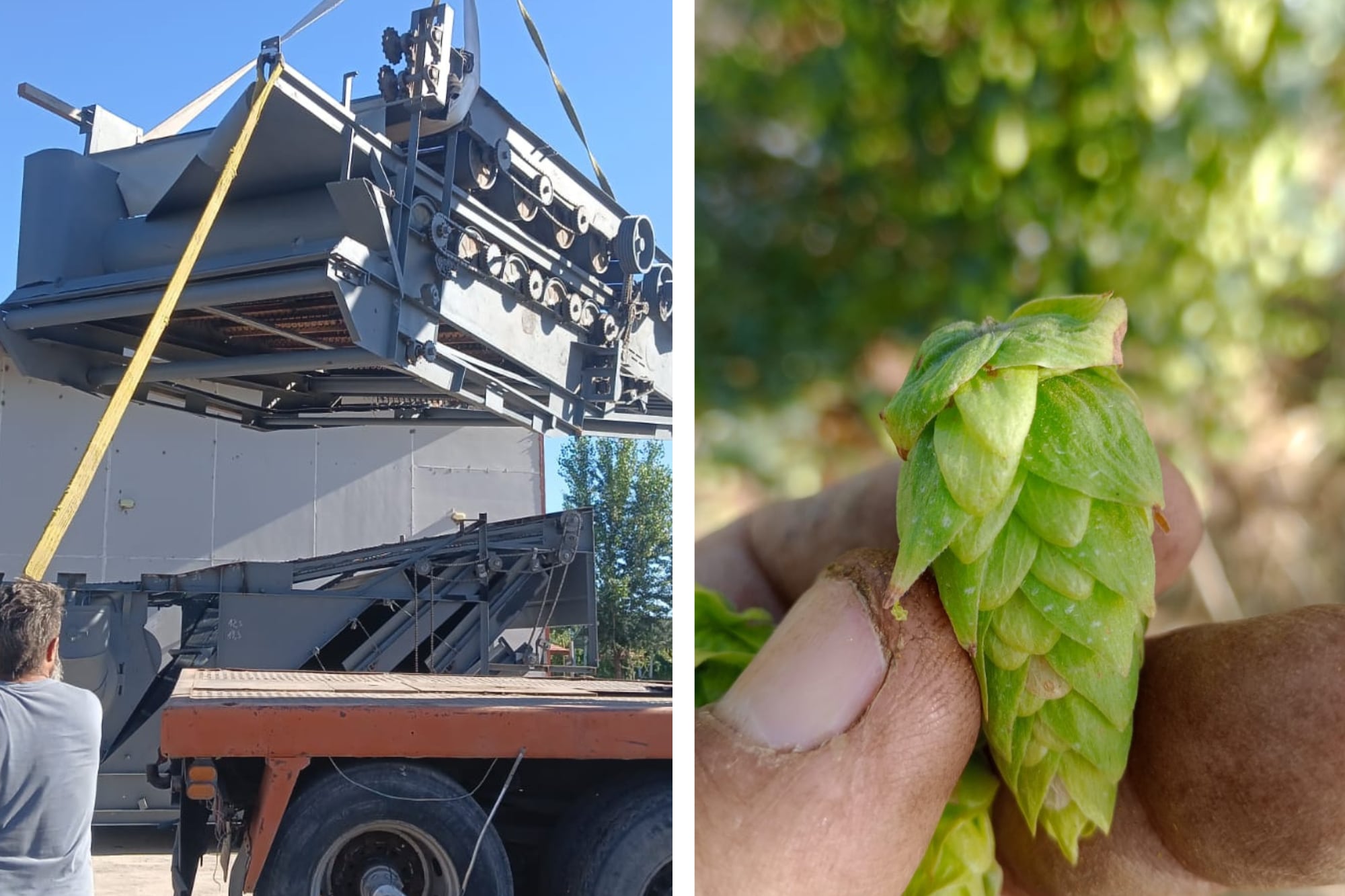 “Tenemos una Ferrari”: es productor, importó una máquina usada desde Polonia y el negocio explotó