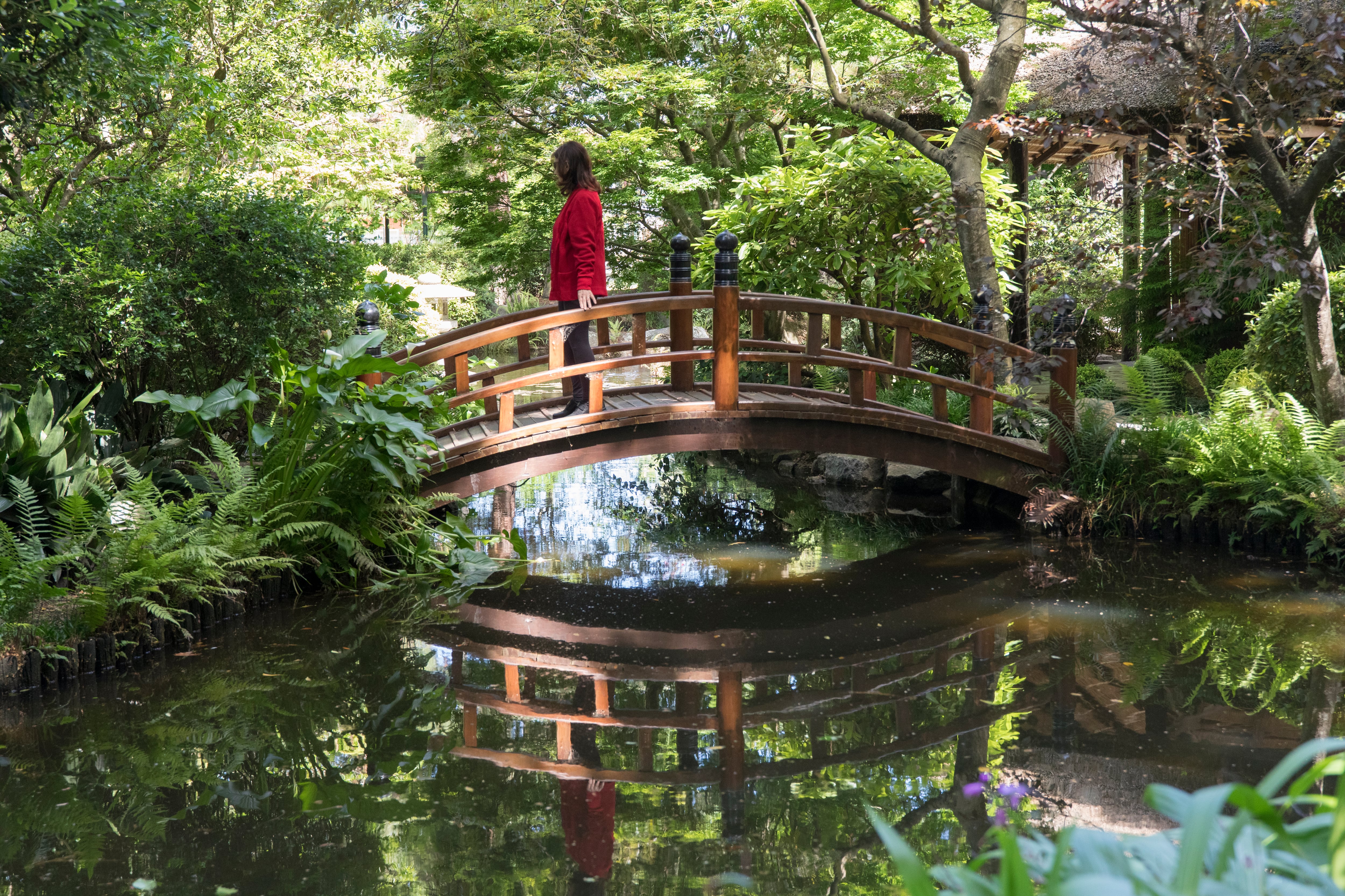Belleza minimalista y vegetación exuberante en el Jardín Japonés del Parque Prado