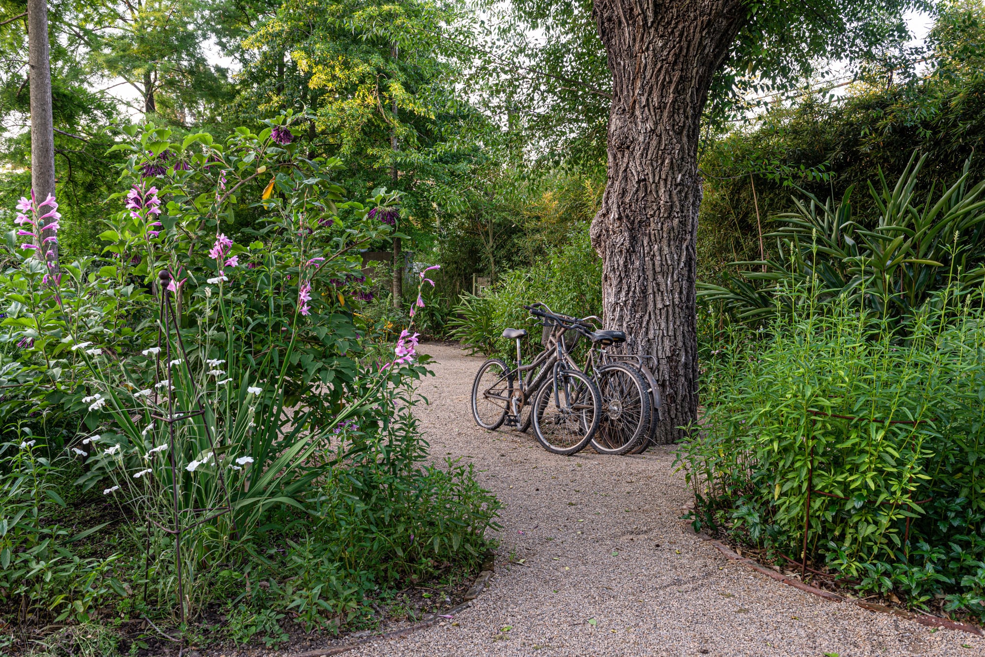La premisa consiste en generar un jardín donde la intervención humana se perciba lo menos posible, aunque esté en cada detalle