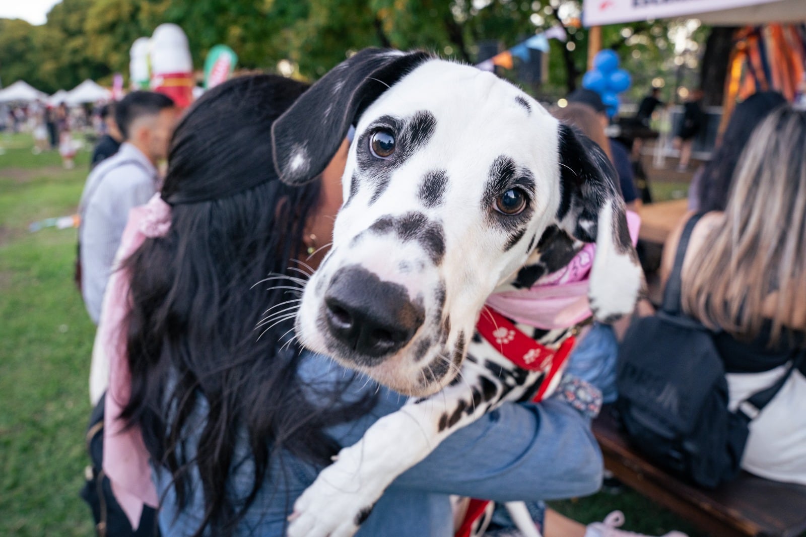 Mascotear 2026 en Recoleta: cuándo es, horarios y cómo reservar entradas gratis para el festival para perros y gatos
