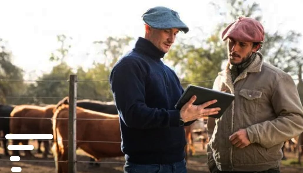 Creada por dos ingenieros bonaerenses, Finca IT ayuda a los productores a mejorar la productividad a partir del análisis de datos y acaba de ser distinguida en un programa internacional de innovación