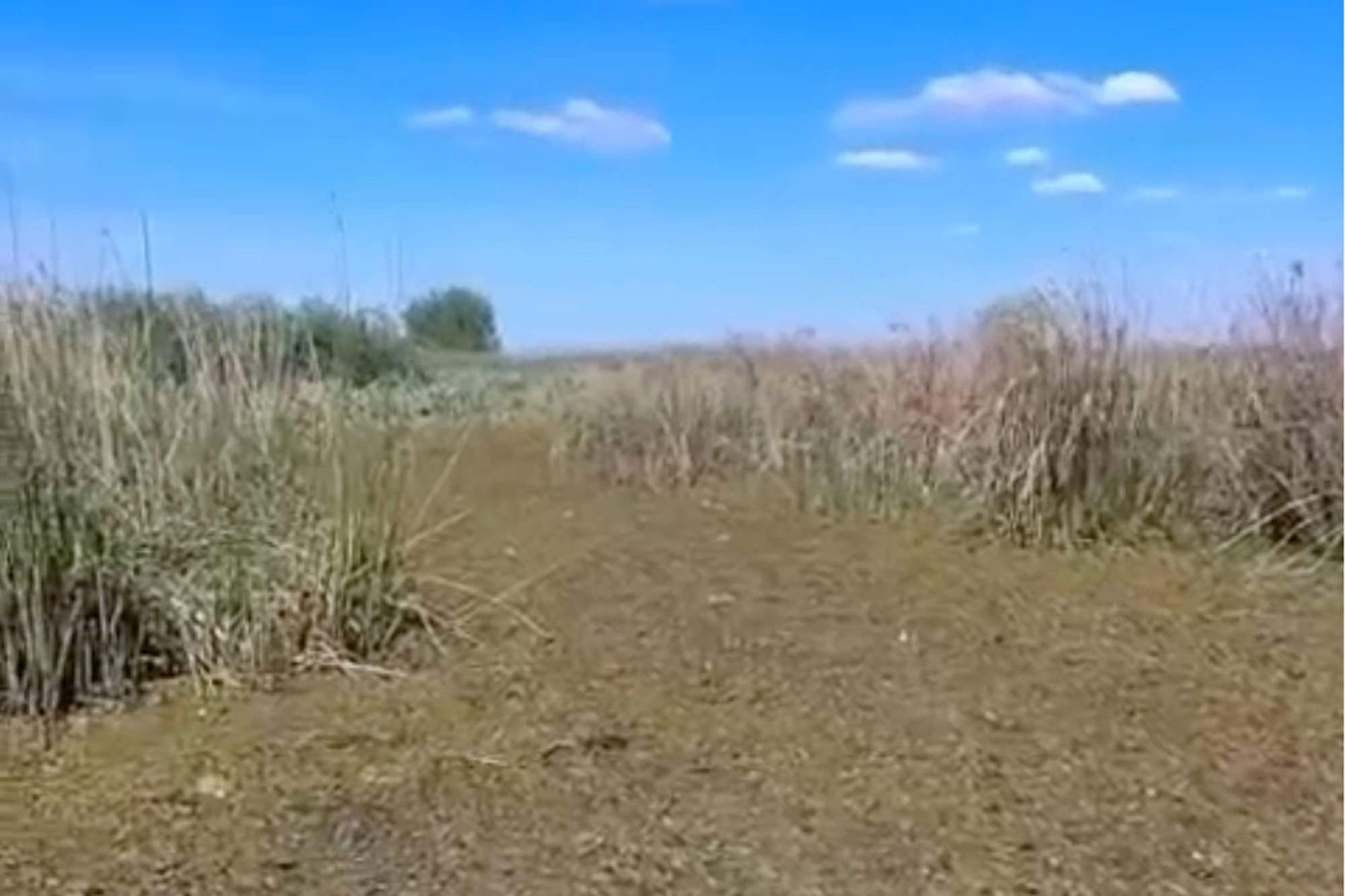 El lugar donde fue hallado el cuerpo de Nancy Godoy