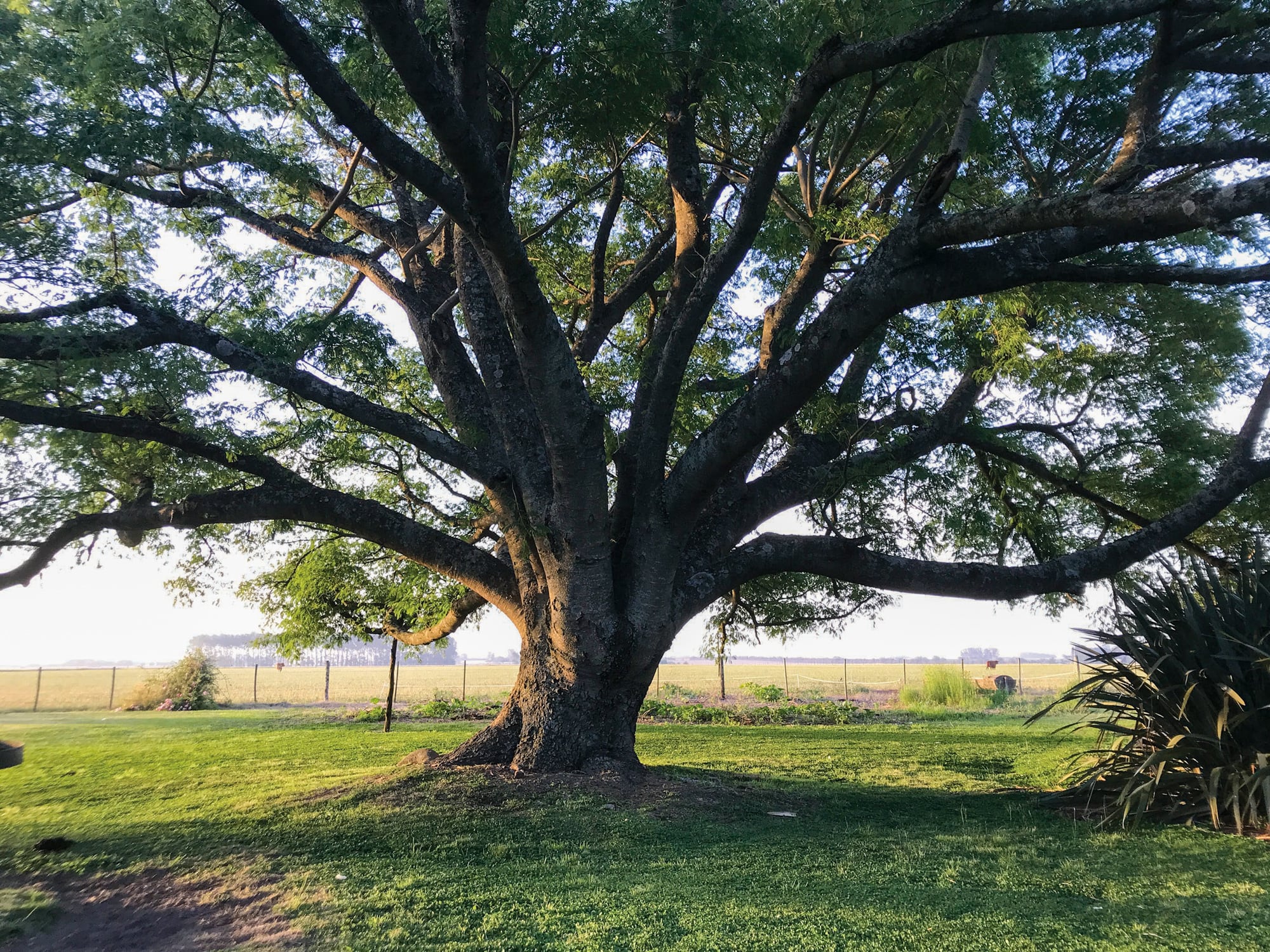 Tomar conciencia sobre la naturaleza y sus beneficios