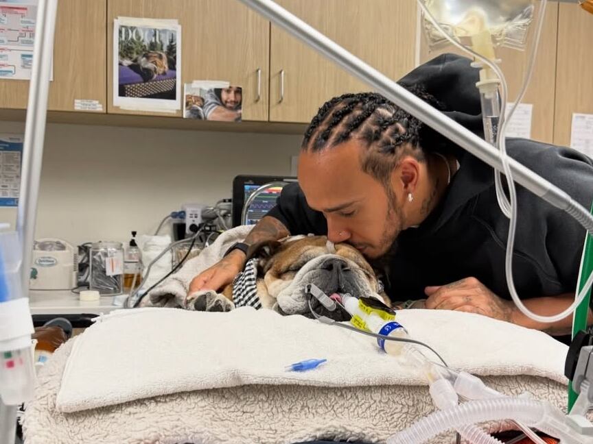 Roscoe estuvo internado durante cuatro días en estado crítico (Foto: Instagram @lewishamilton)