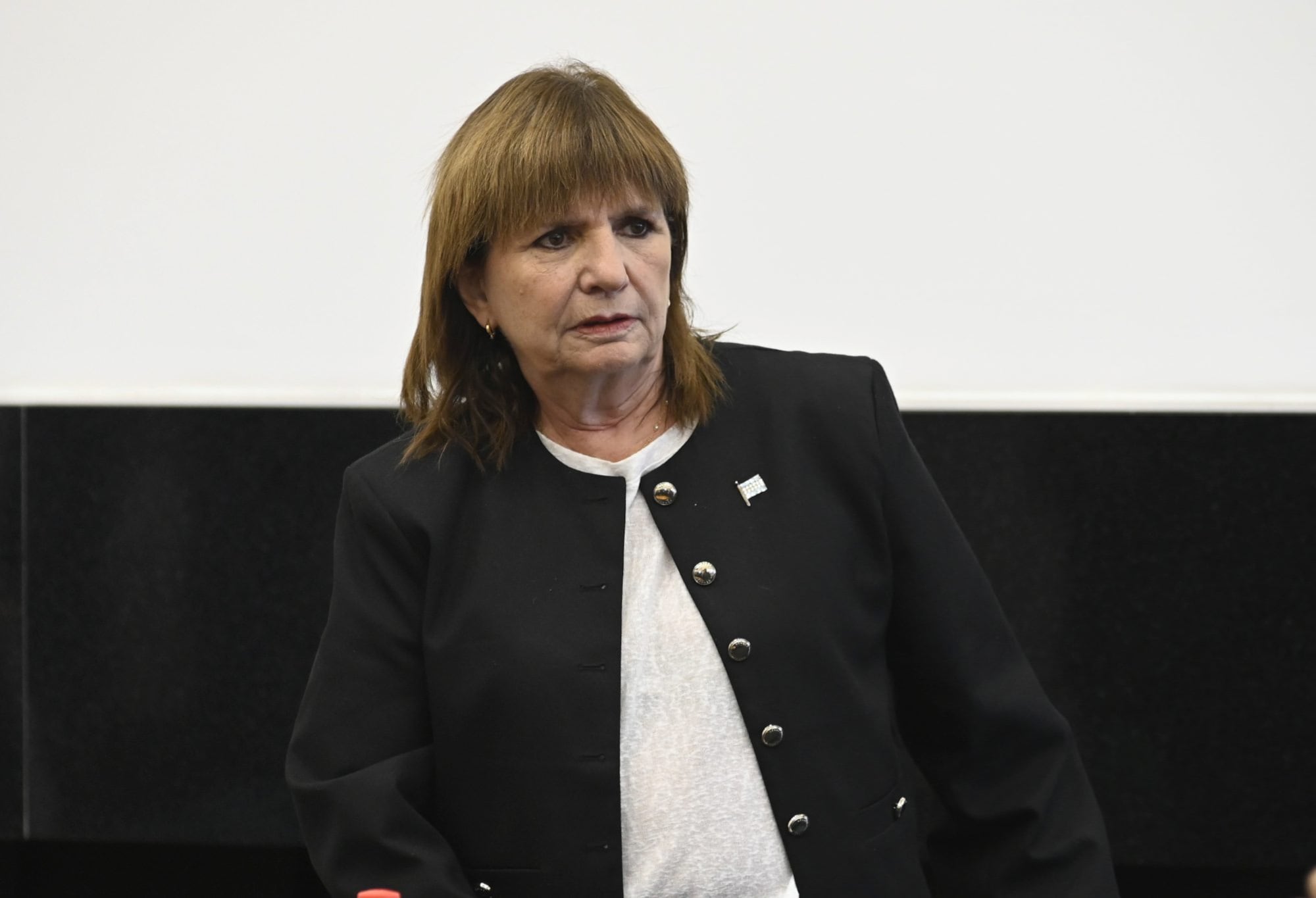 La senadora nacional Patricia Bullrich