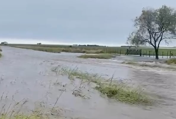 Con caminos anegados y suelos saturados, productores alertan por demoras en la recolección y un pronóstico que anticipa más tormentas