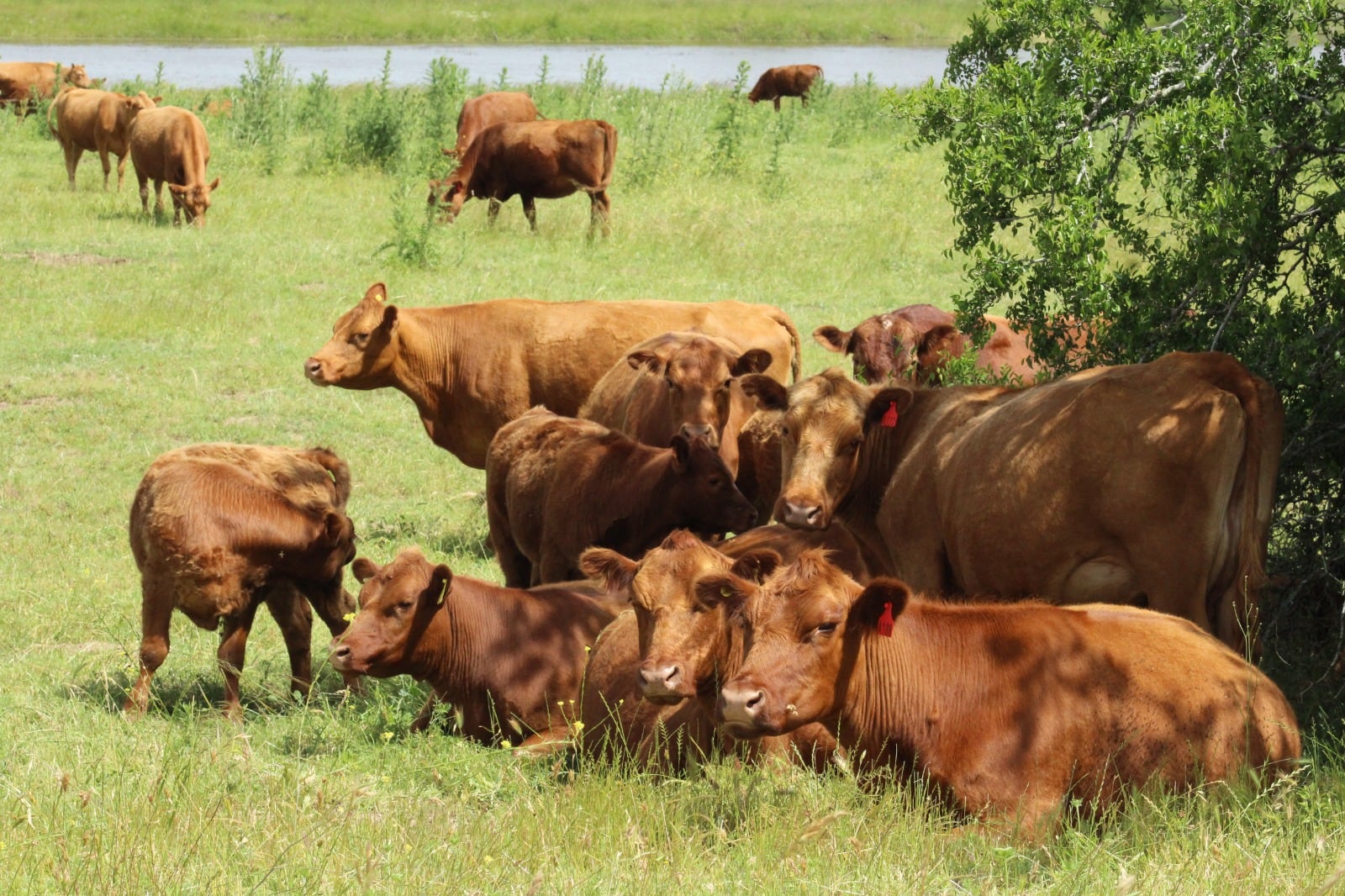 Ganador del año: el negocio que se convirtió en la estrella de 2025