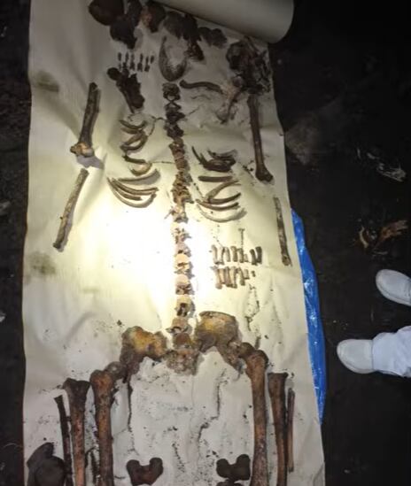 Los restos óseos de Diego Fernández Lima recolectados por la División Criminalística de la Policía