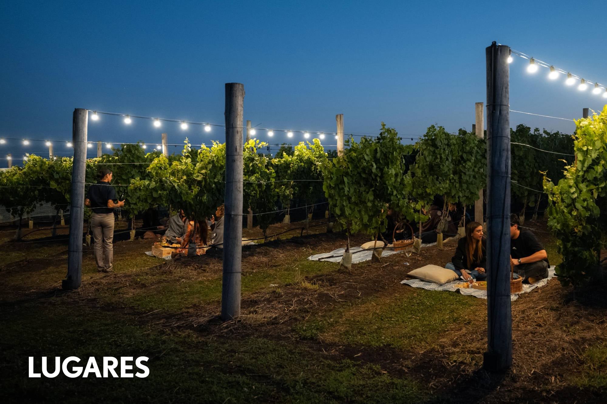 5 propuestas gourmet en General Madariaga, antes o después de la playa