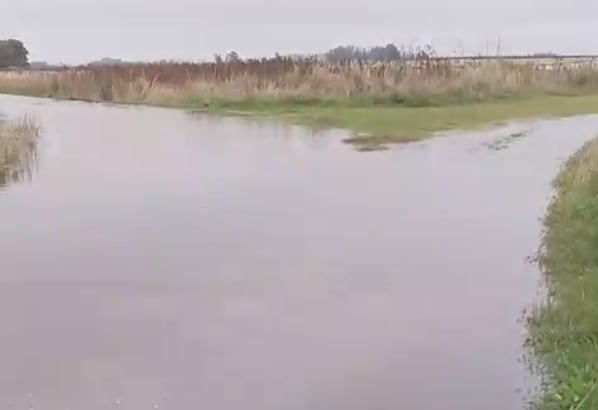 El exceso hídrico y la falta de obras estructurales agravan un escenario que ya venía tensionado