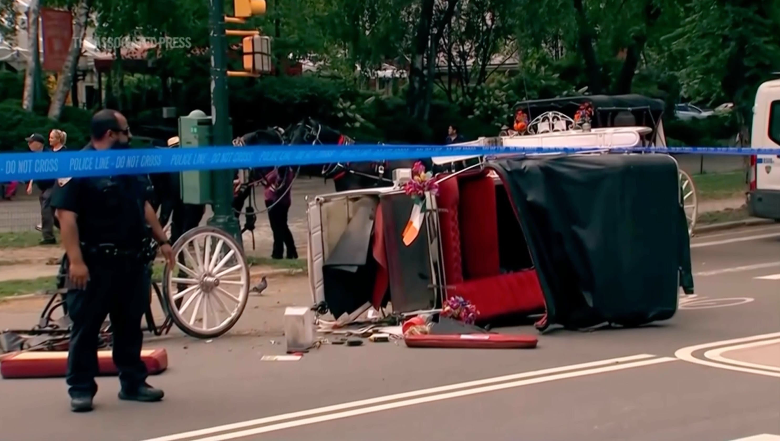 Mamdani lo logró: Nueva York avanza para eliminar carruajes con caballos y los paseos en el Central Park 7 La iniciativa adquirió un impulso tras la muerte de Romanch Mahajan, un turista indio de 18 años que cayó de un carruaje
