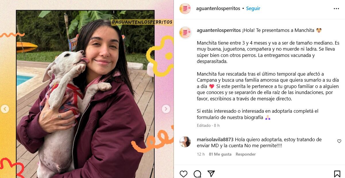 Manchita, otro de los perros rescatados por María Becerra