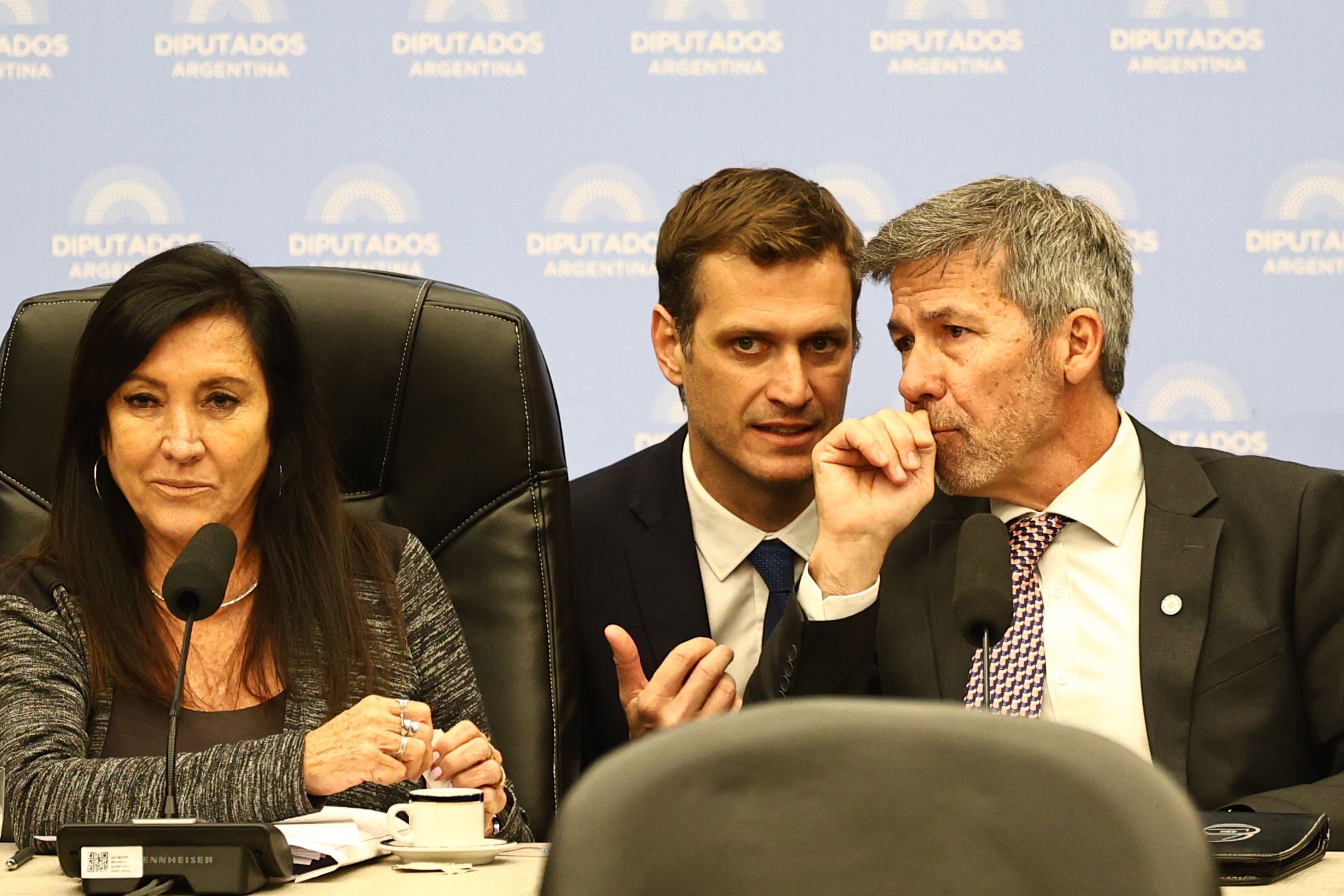 Laura Rodríguez Machado, presidenta de la Comisión de Legislación Penal; Javier Sánchez Wrba y Martín Ardohain, diputados del PRO