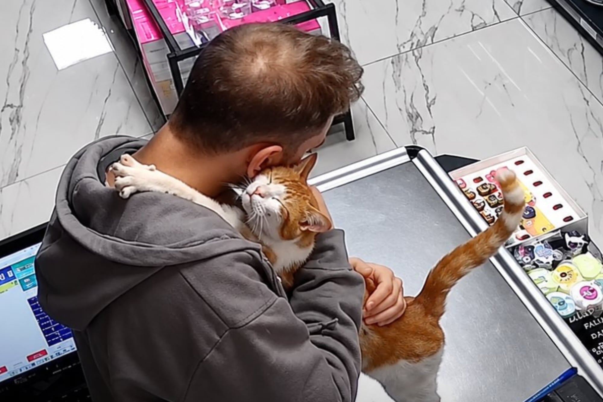 Lo visita cada mañana en su negocio, lo abraza y se va: la historia del gato callejero que conmueve a todos