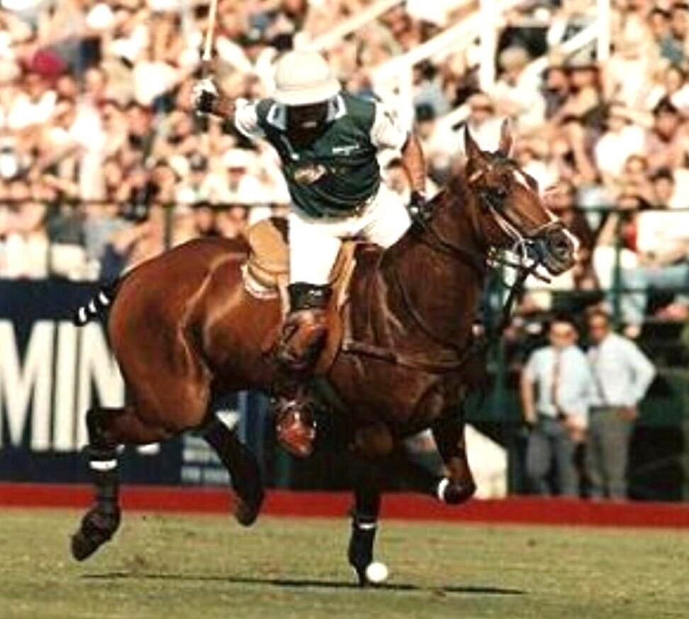 Pepe Heguy sobre la Polo Pureza,