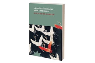 Reseña: La paciencia del agua sobre cada piedra, de Alejandra Kamiya