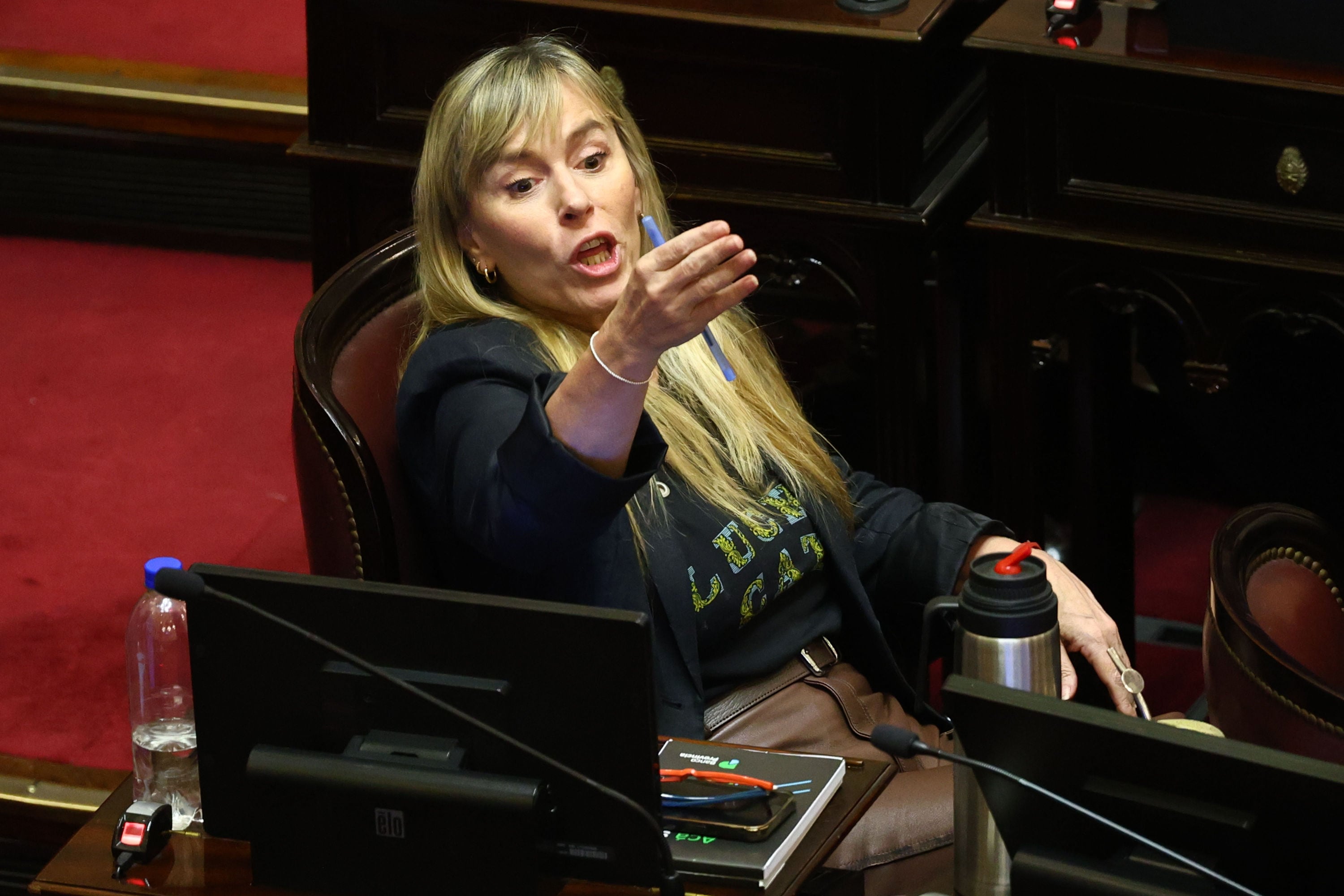 La senadora Juliana Di Tullio reacciona a una expresión de Carolina Losada durante el debate en el Senado por la baja de edad de imputabilidad