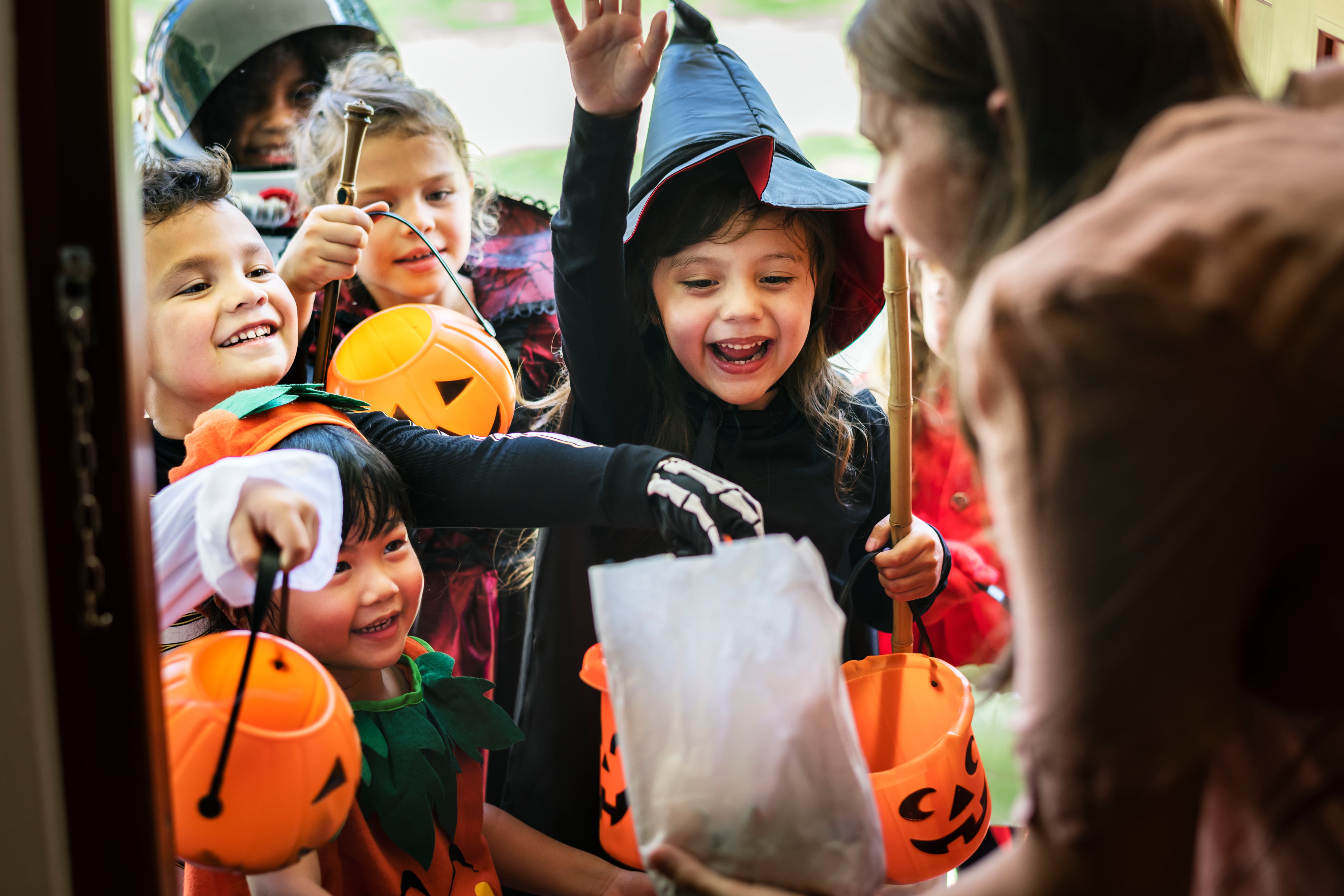 Calabazas de Halloween para niños: cuánto salen y dónde conseguirlas en la Argentina