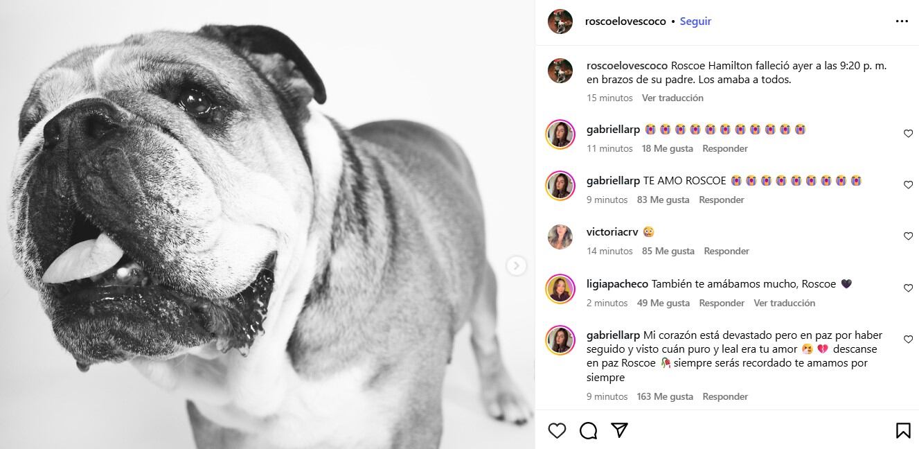 La cuenta oficial de Roscoe anunció la muerte del animal