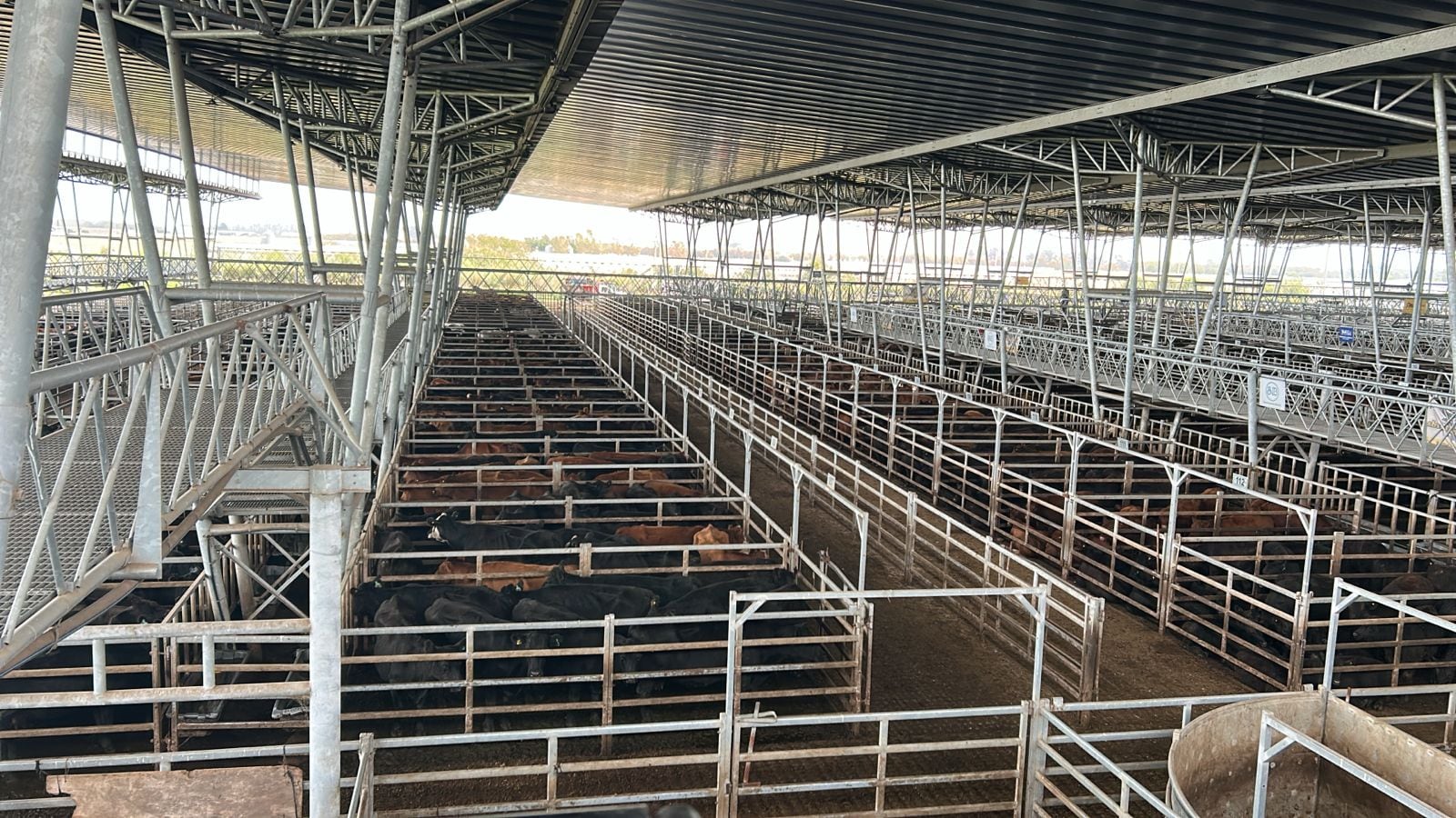 El detalle de venta fue 813 novillos; 1983 novillitos; 2741 vaquillonas; 2169 vacas; 631 conservas, y 228 toros