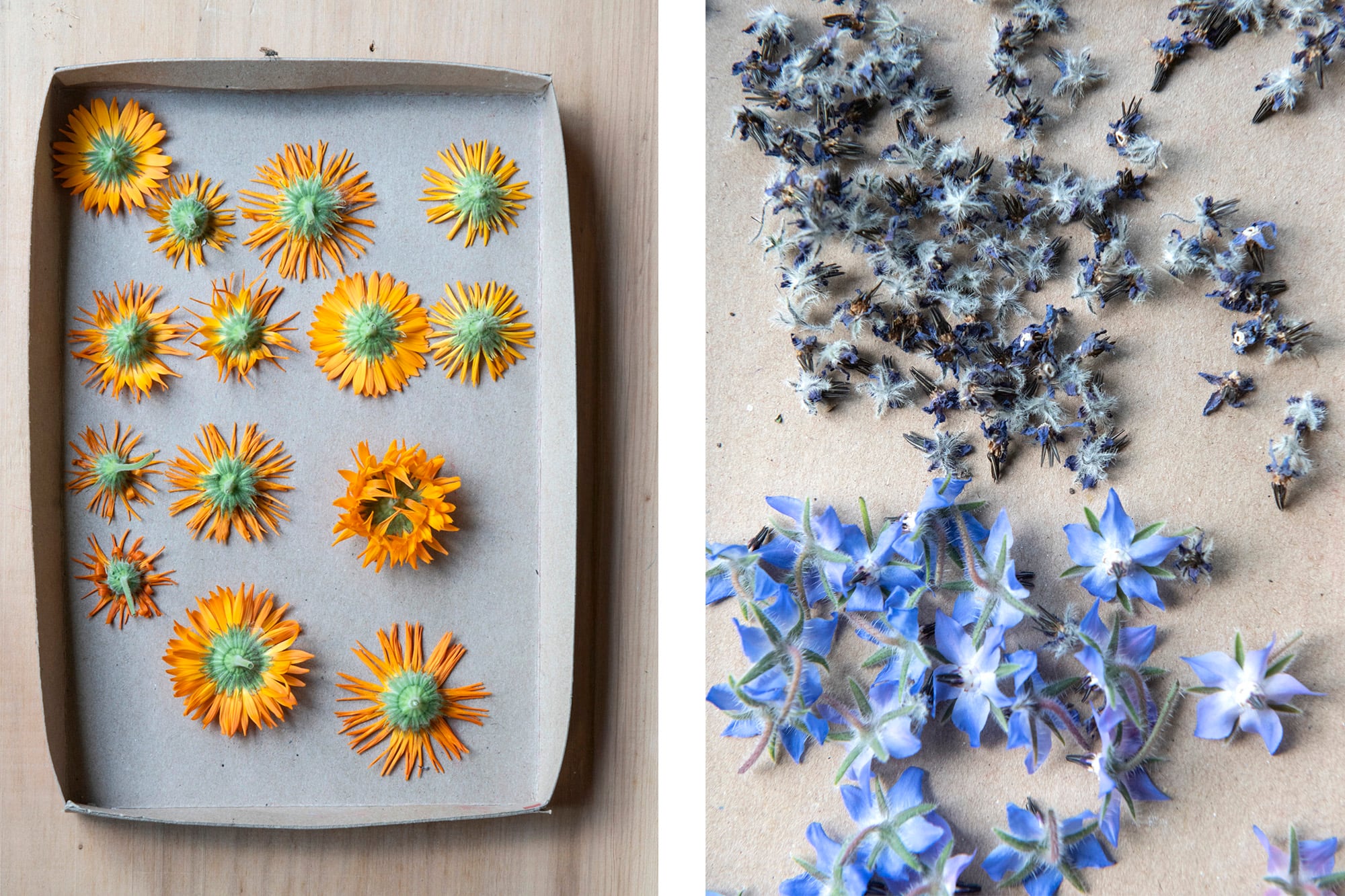 Secado de las flores pos cosecha