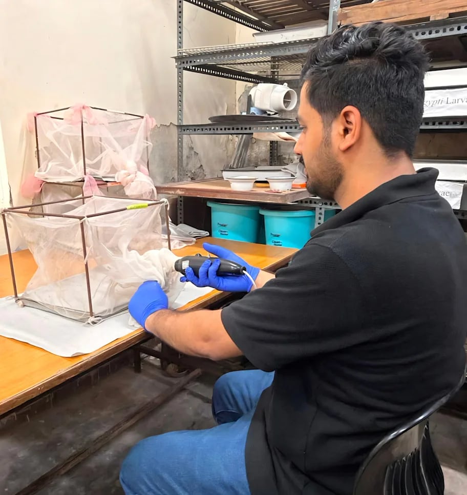 Montaje experimental con jaulas para mosquitos y aspiradores para la investigación de vectores