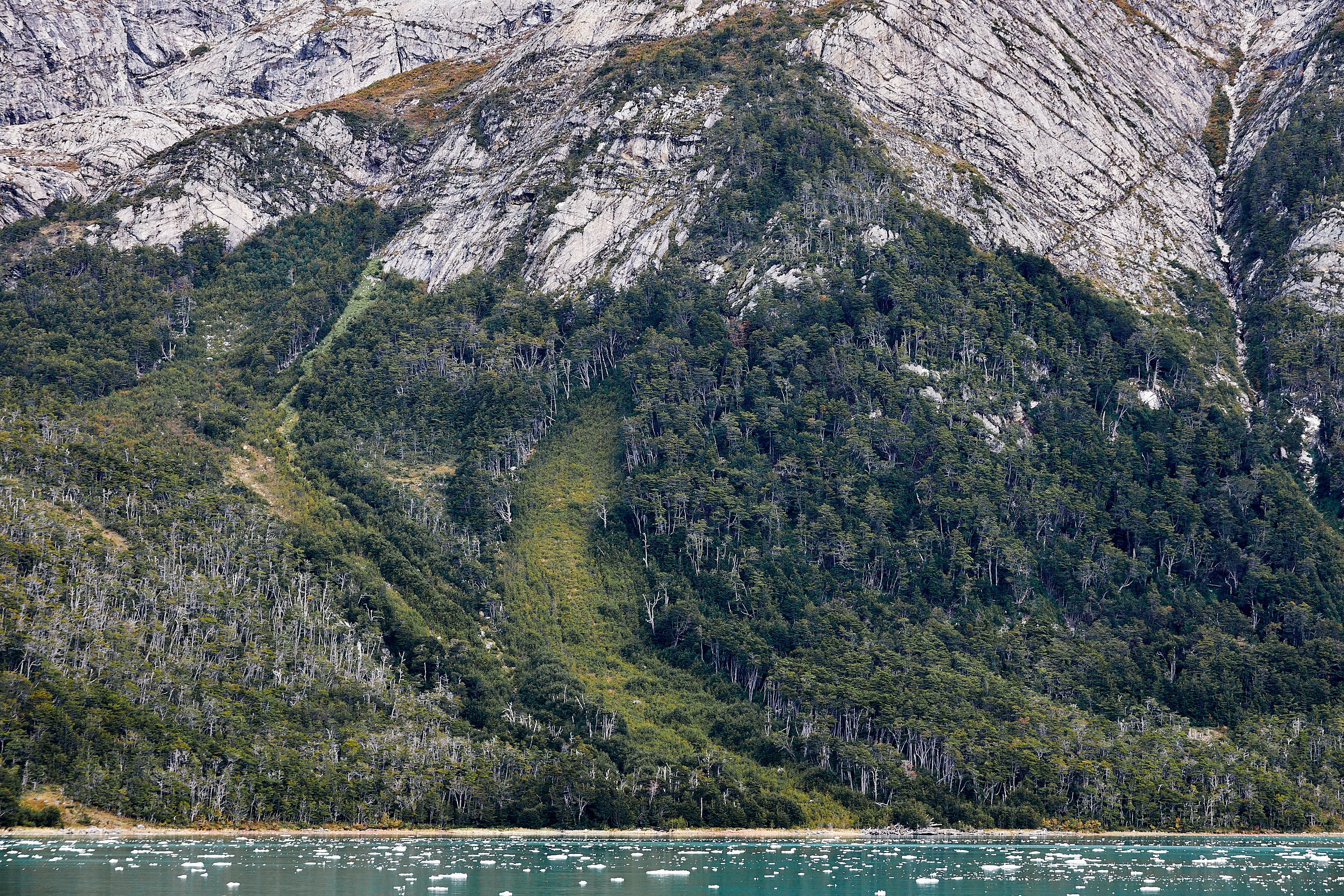 La exención de tarifas en los parques estatales no incluye servicios como campamentos o reservas, lo que permite mantener ingresos operativos esenciales mientras se incentiva la visita