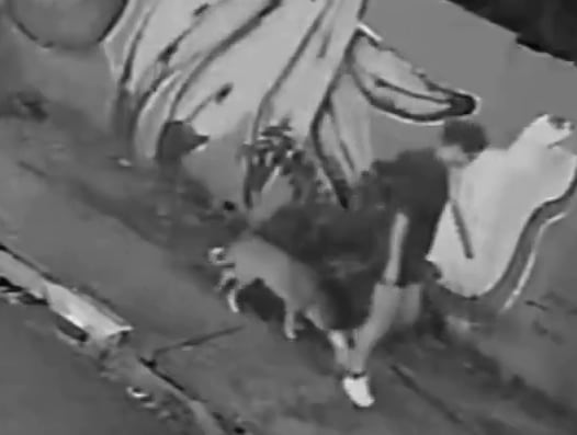 Una joven cayó adentro de una alcantarilla mientras paseaba a su perro en Brasil