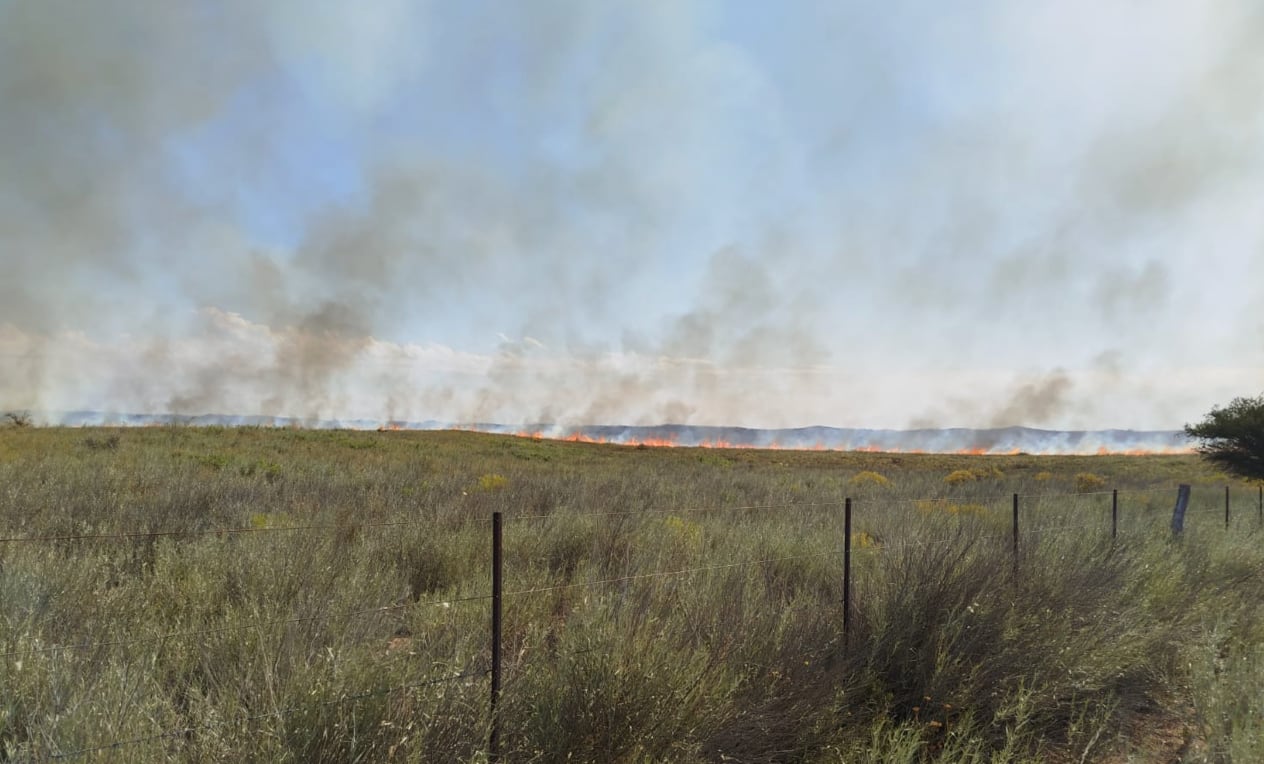 Ya quemó 83.000 hectáreas: por el fuego en La Pampa denuncian la muerte de ganado y hay un temor latente