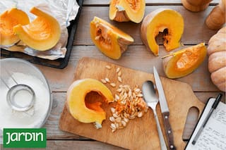 Budín de calabaza, una receta gourmet, original y barata