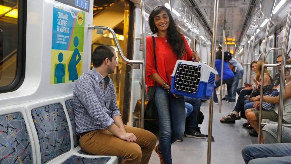 Uno de los requisitos para el traslado de las mascotas es que viajen en un contenedor adecuado