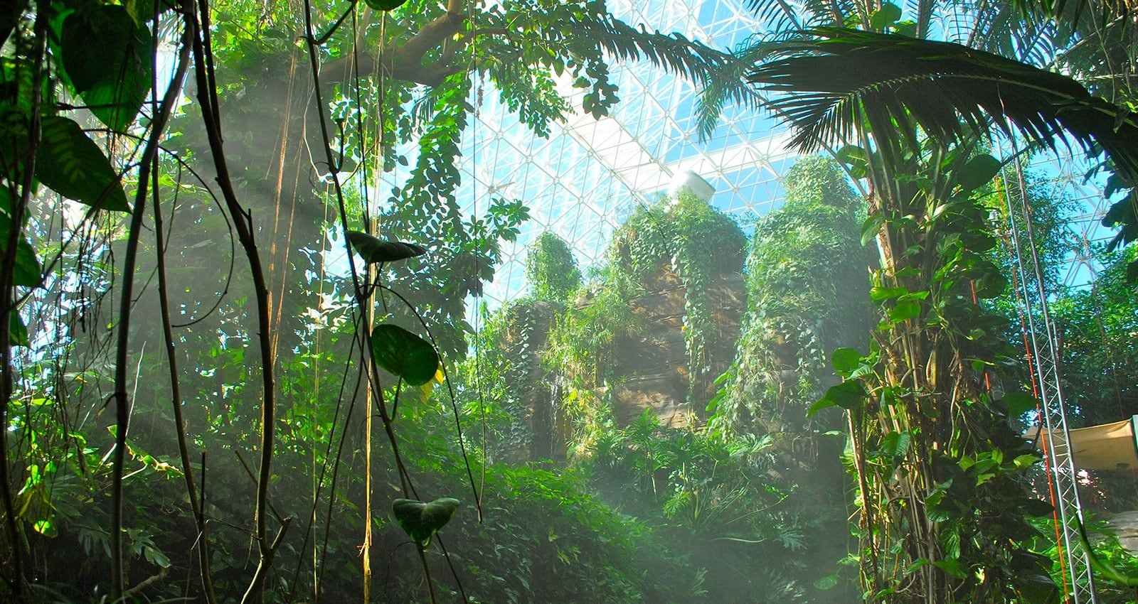 La selva tropical de Biósfera 2 fue armada con flora y fauna traída de Venezuela; debajo del suelo, Biósfera 2 tenía la sala de máquinas, necesaria para mantener cada ambiente en las condiciones correctas