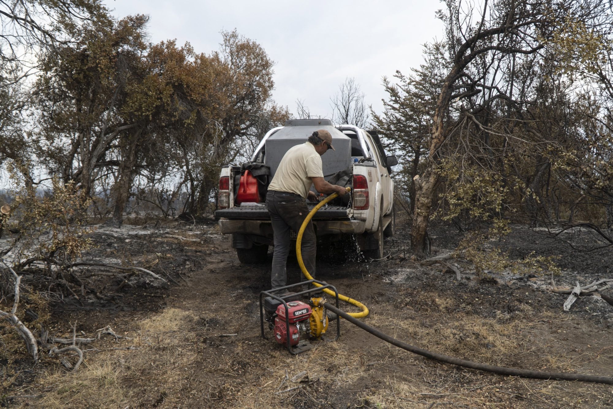 Más de 40.000 hectáreas arrasadas: prevén vientos y altas temperaturas que complicarían el combate del fuego en Cholila