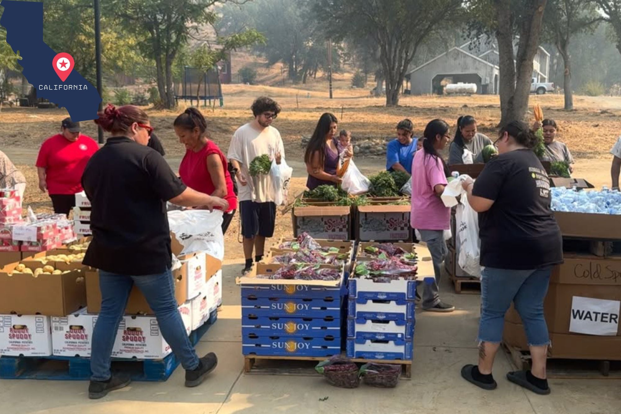 Dónde entregan comida gratis en California durante la semana del 2 al 7 de febrero de 2026