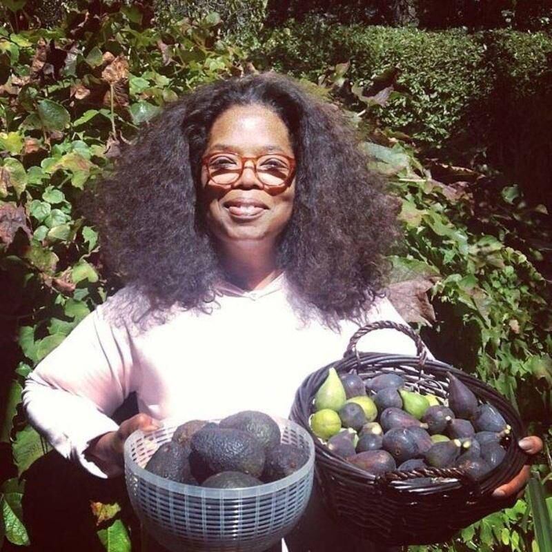 Oprah orgullosa de los alimentos que obtiene de su huerta