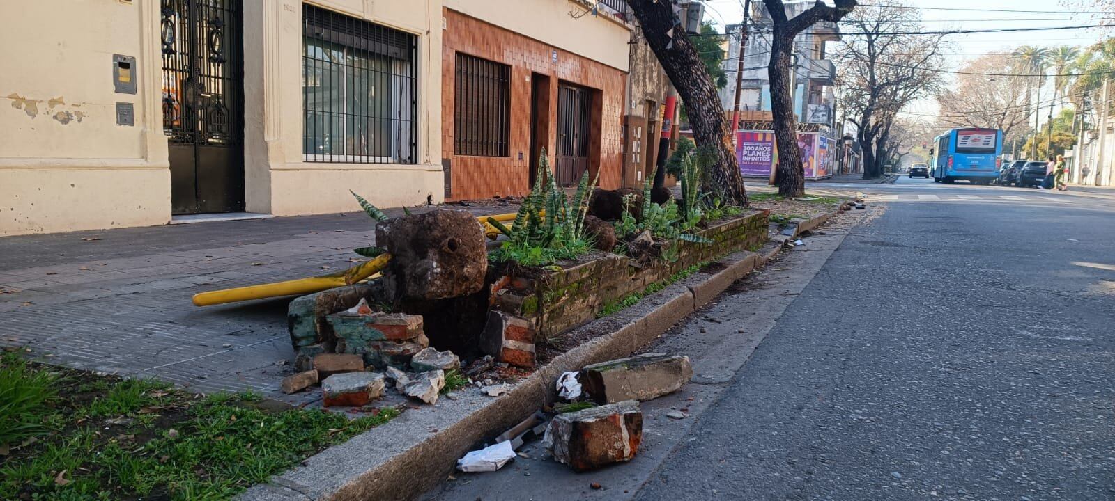 Así quedó el cantero en el que chocó Brian Figueroa con su auto después de ser acribillado