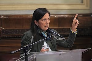 El pedido de Claudia Piñeiro a los Senadores en el debate por el aborto