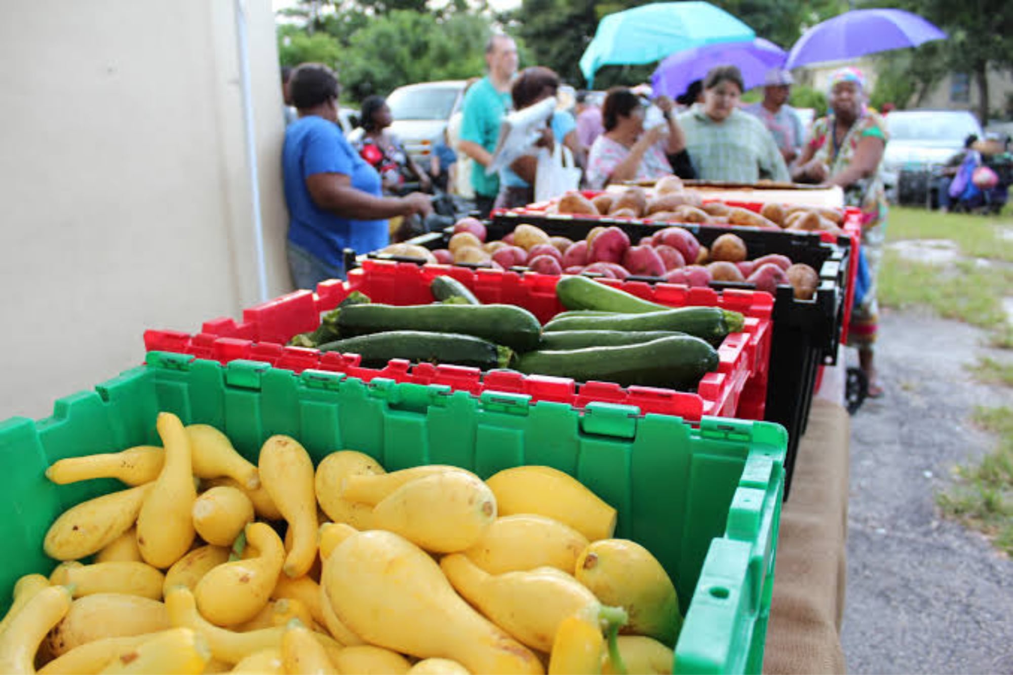 Comida gratis en Florida en la última semana de julio: calendario y dónde entregan bolsas de alimentos hoy