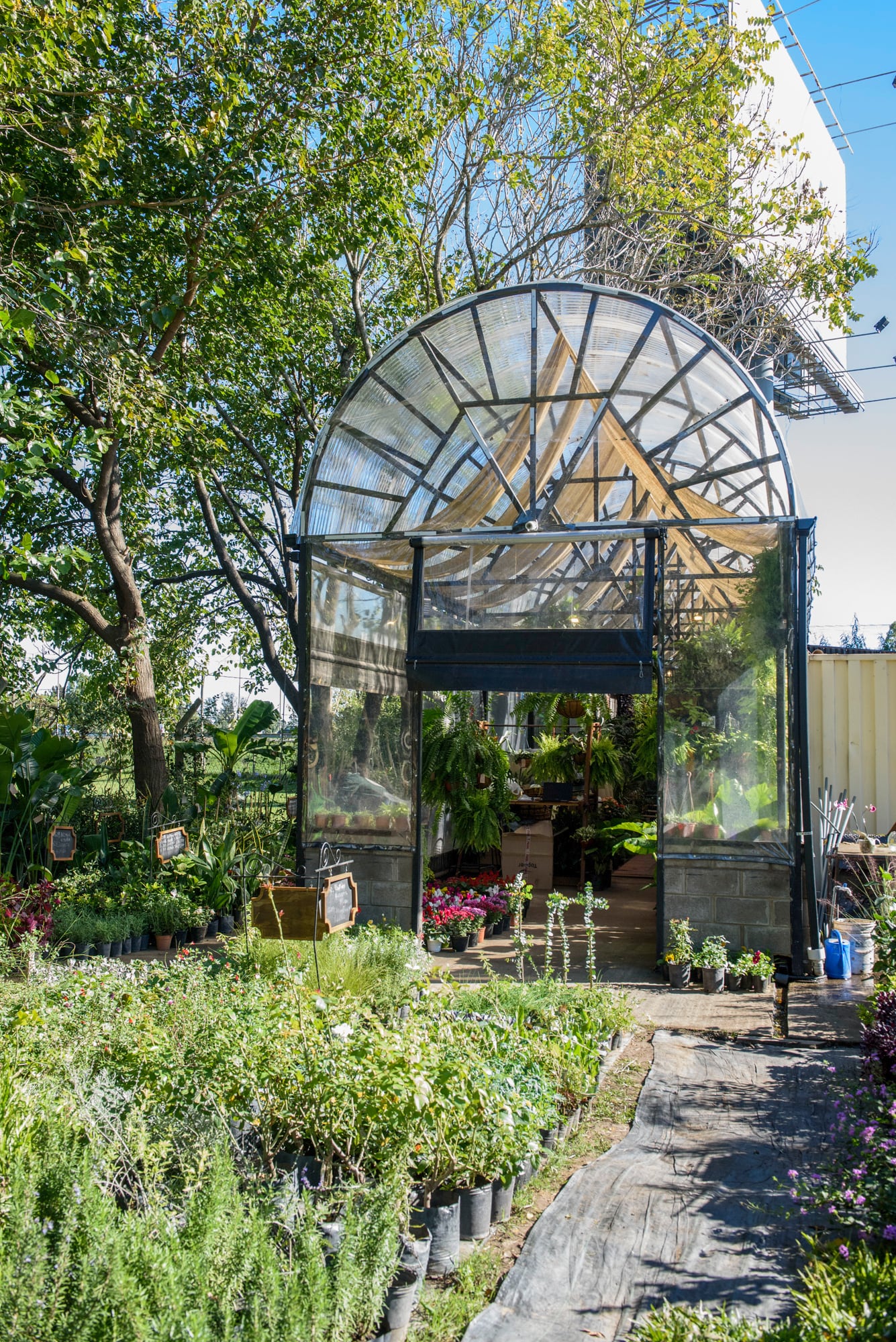 En el sector trasero del predio se encuentra el vivero de plantas ornamentales para exterior
