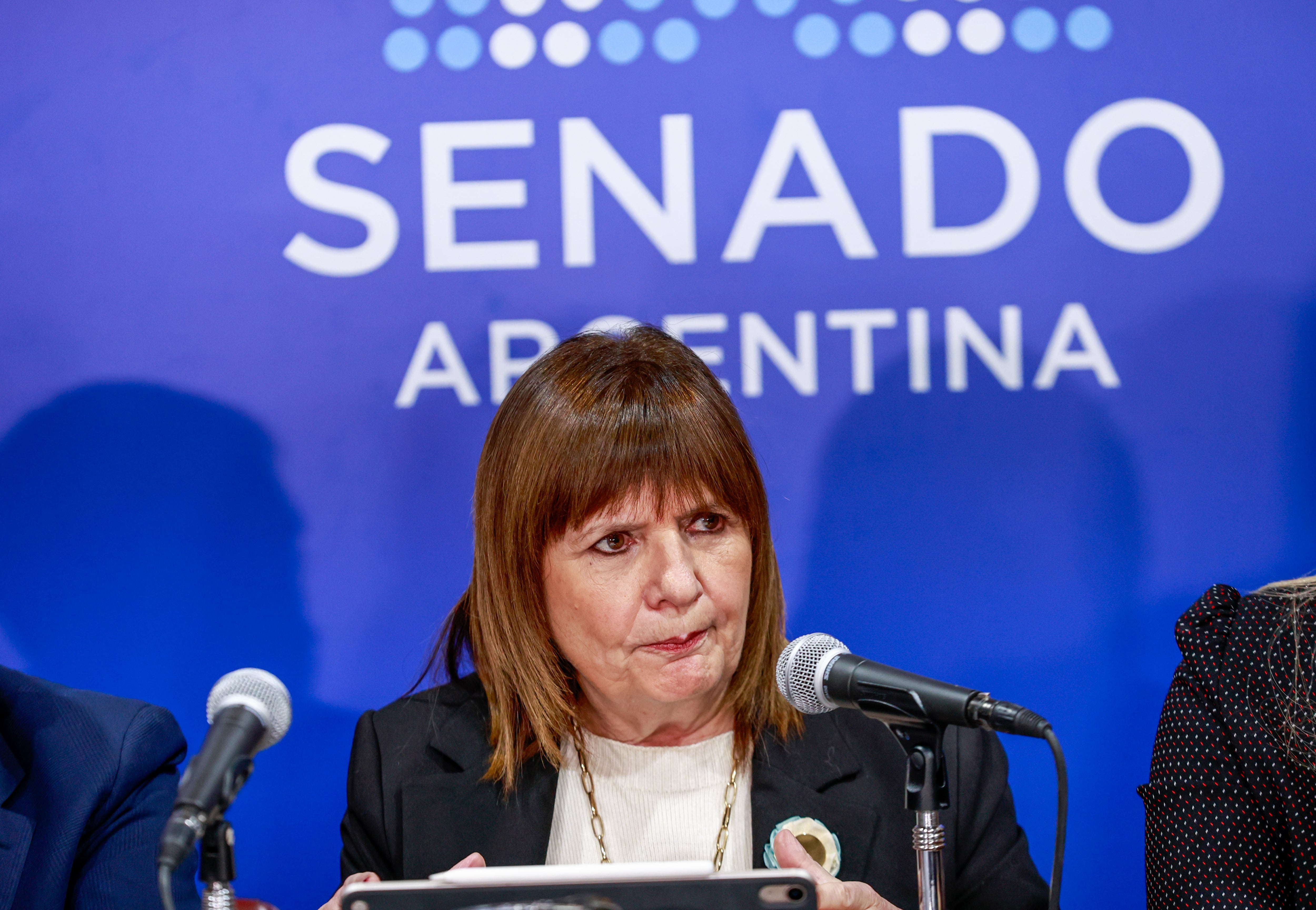 Bullrich escucha las preguntas de la prensa
