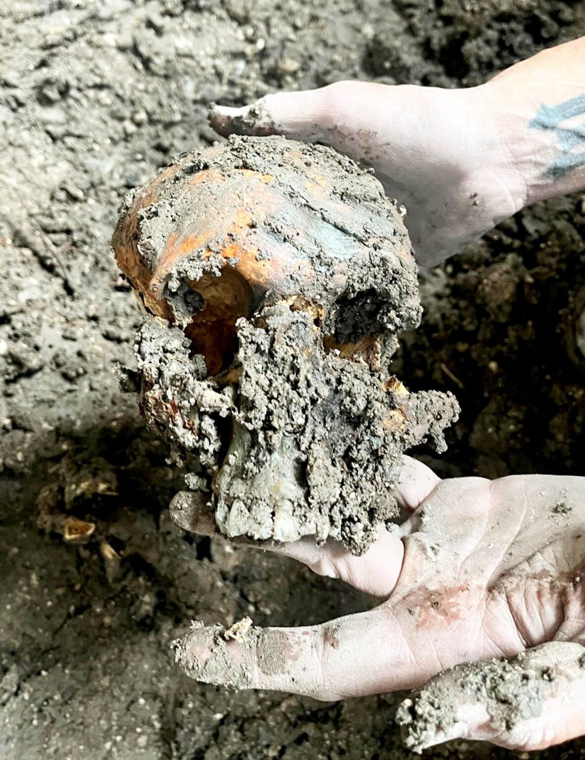 Los restos humanos que encontró la pareja