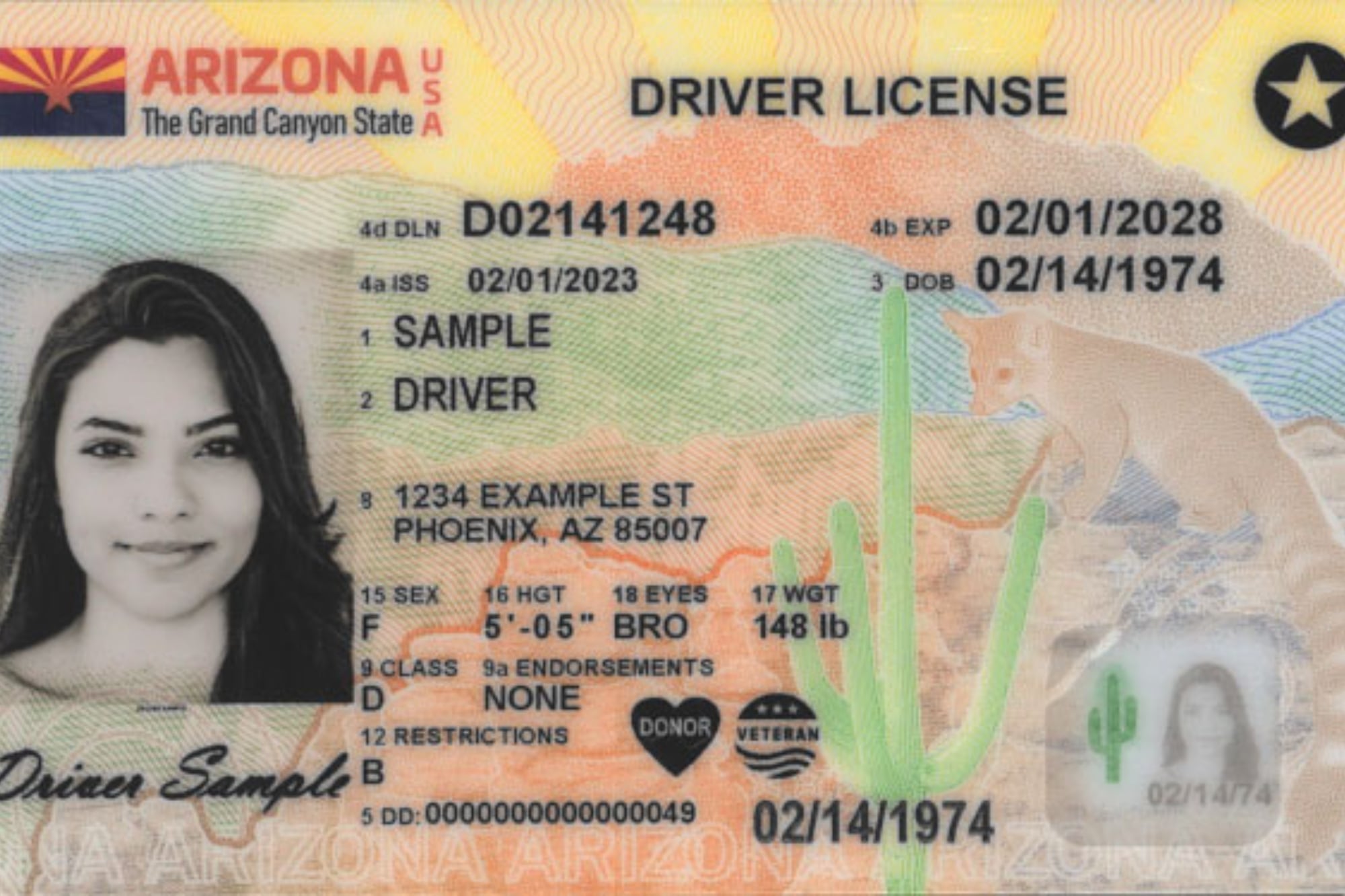 Los pasos a seguir para obtener la Real ID en Arizona