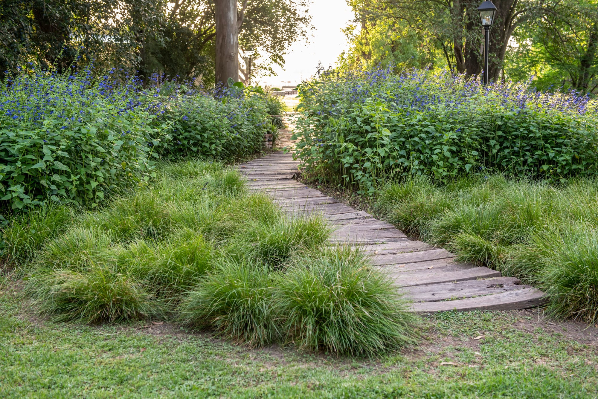 Los senderos invitan a recorrer y descubrir el jardín al caminar