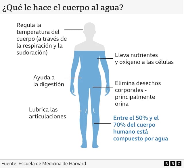 INFOGRAFÍA