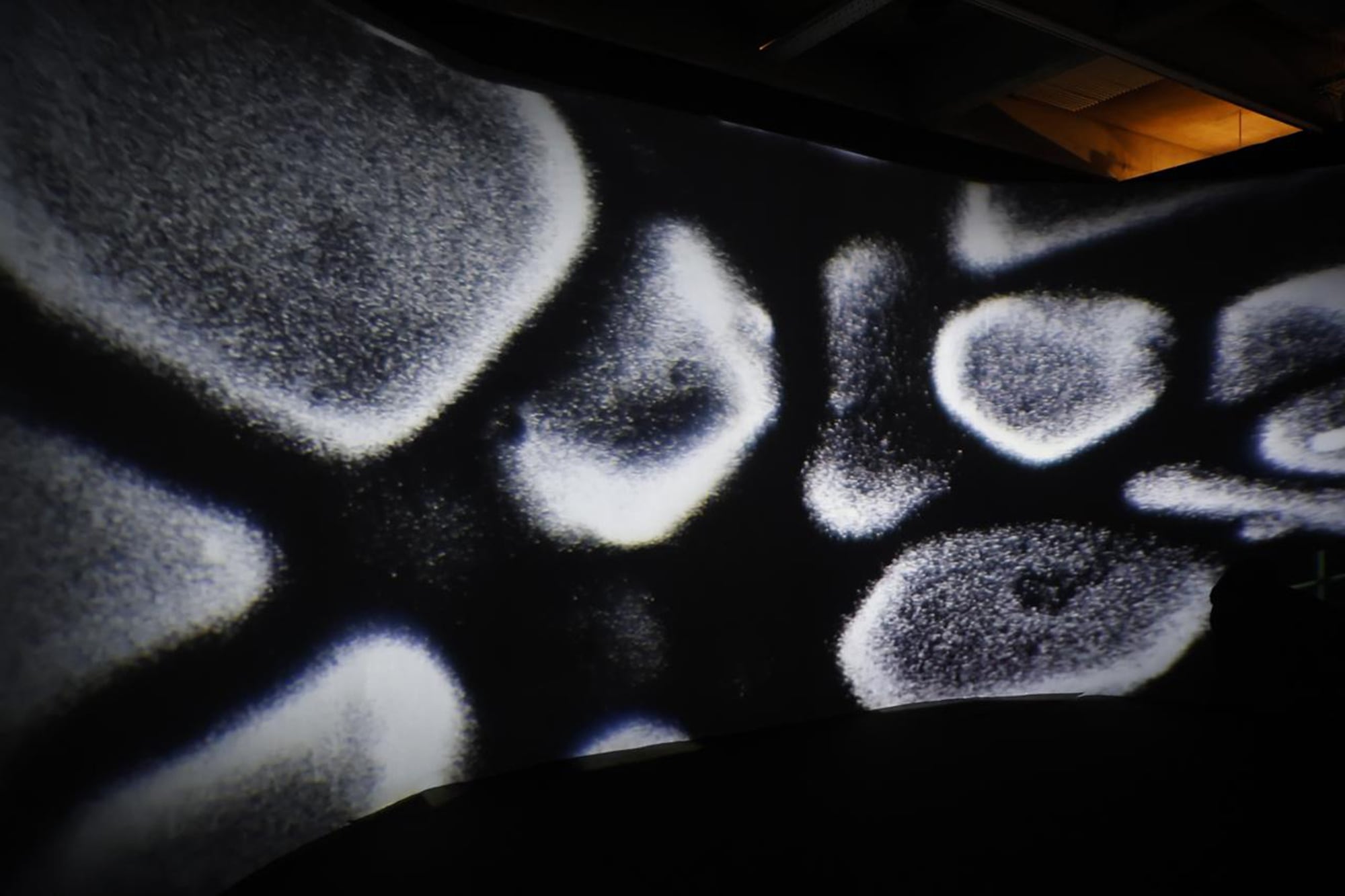Retratos de un grano de plata realizados con un microscopio electrónico de la UBA